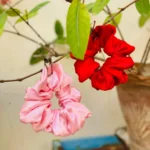 One Silk Scrunchie - Choose Colour - Image 2